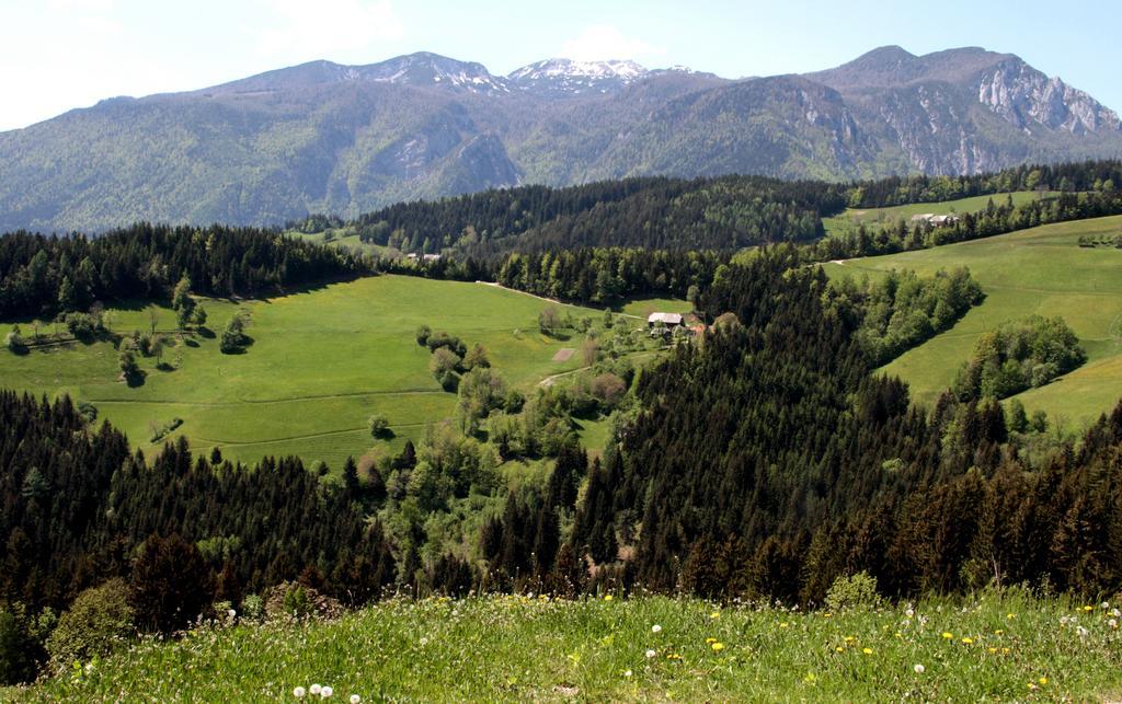 Farmstay Hisa Pecovnik Luče Buitenkant foto