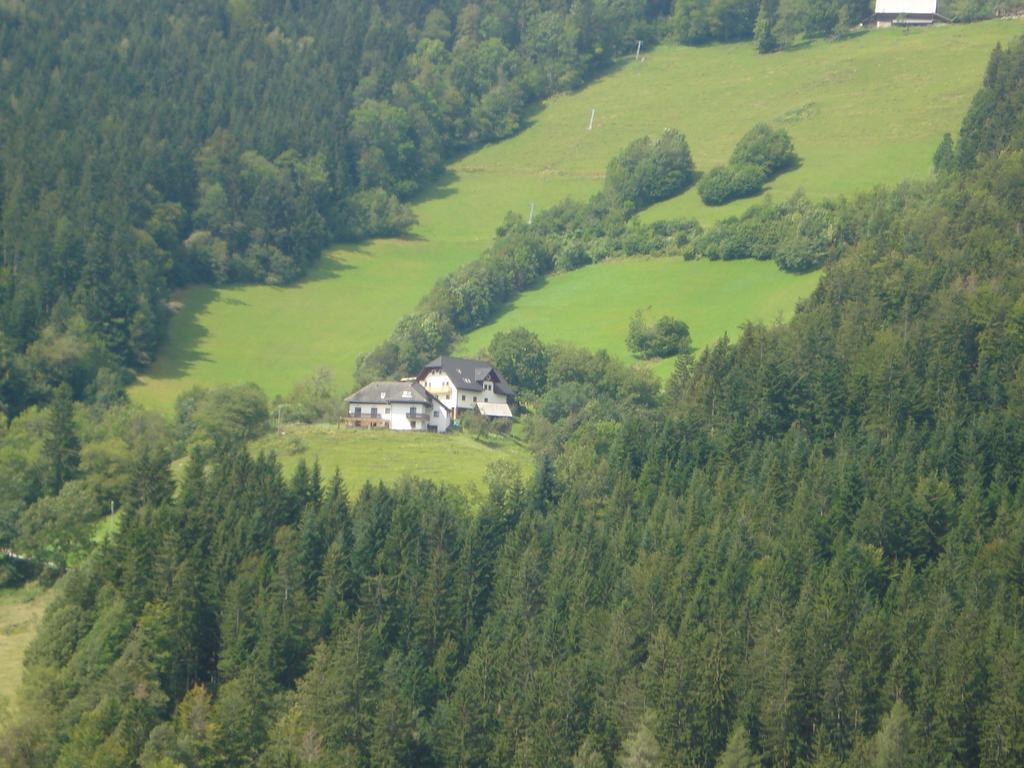 Farmstay Hisa Pecovnik Luče Buitenkant foto