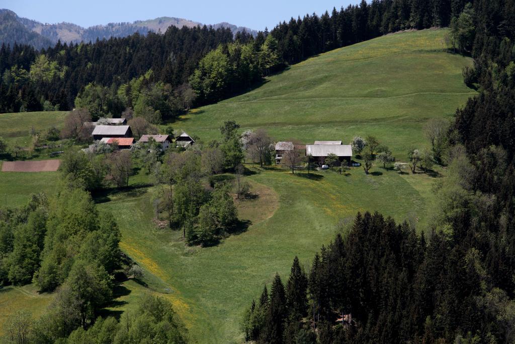 Farmstay Hisa Pecovnik Luče Buitenkant foto
